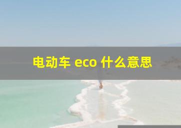 电动车 eco 什么意思